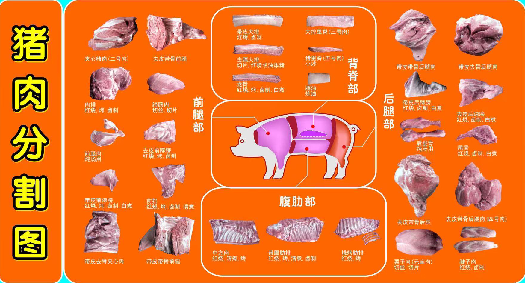 豬肉分割圖